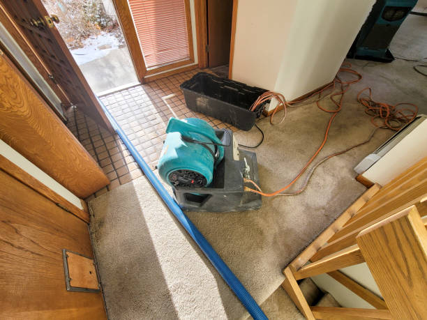 Best Water damage restoration near me  in Inez, TX