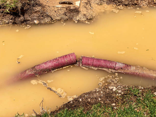 Best Water damage contractors near me  in Inez, TX