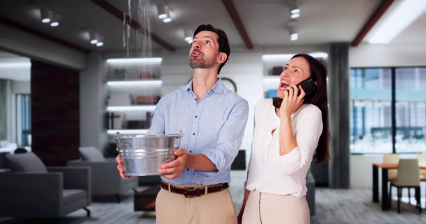 Best Water damage cleanup near me  in Inez, TX